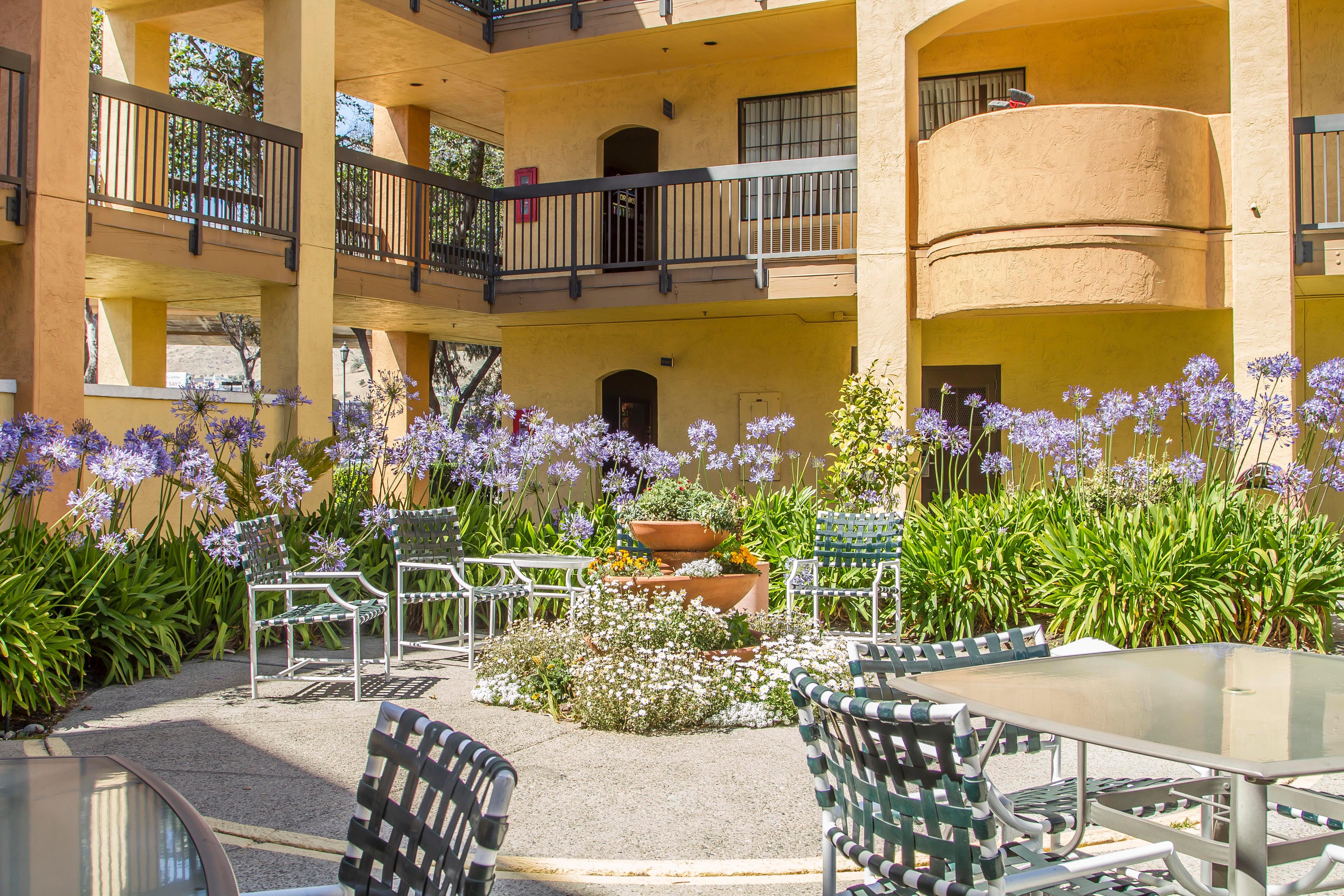 Comfort Inn & Suites San Francisco Airport North South San Francisco Exterior foto